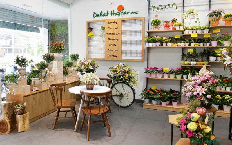 Shop hoa tươi Dalat Hasfarm