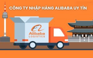 công ty nhập hàng Alibaba uy tín
