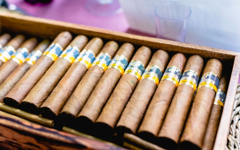 Đặc điểm của cigar Cohiba Siglo