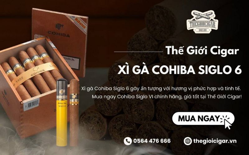 mua xì gà cohiba siglo chính hãng tại thegioiciga.vn