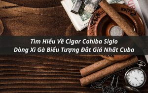 tìm hiểu về cigar cohiba siglo