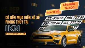 Review Có Nên Mua Biển Số Xe Phong Thủy Tại IKN?