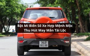 biển số xe hợp mệnh mộc