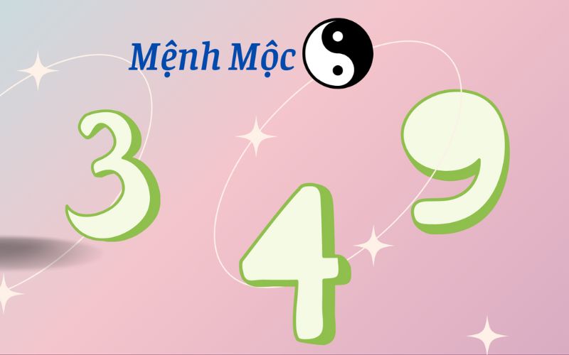 mệnh mộc hợp biển số xe nào