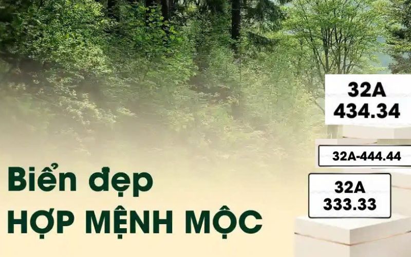hướng dẫn chọn biển số hợp mệnh mộc